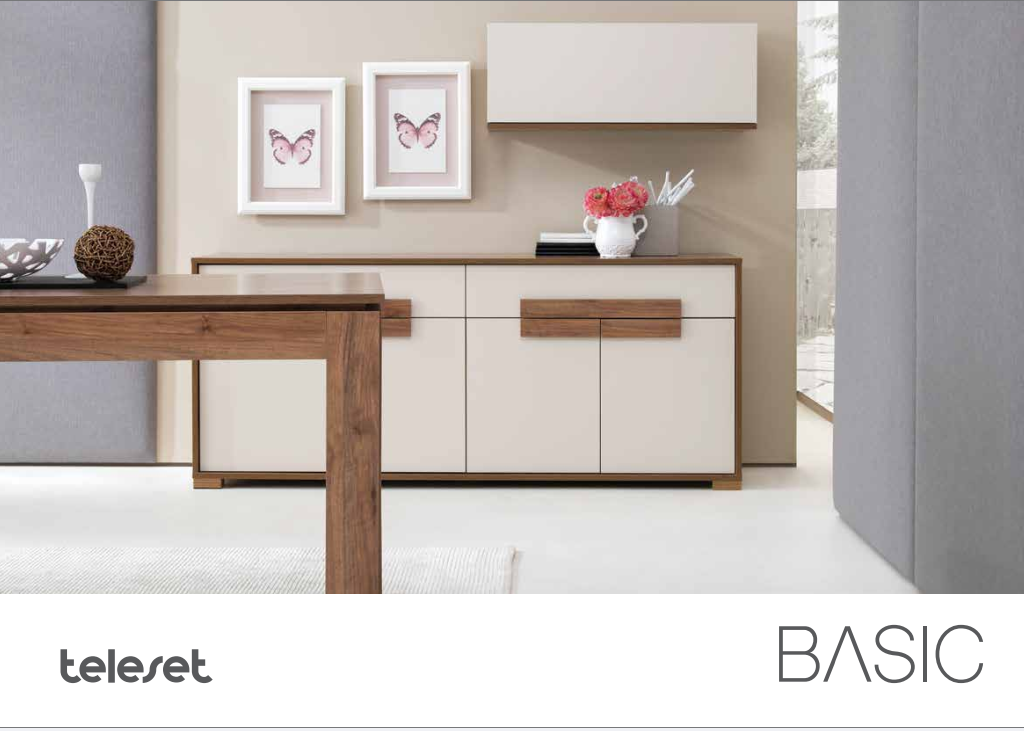 TELESET BASIC